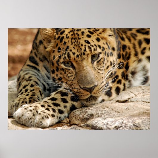 私もしは…できるだ救け ポスター (正面)