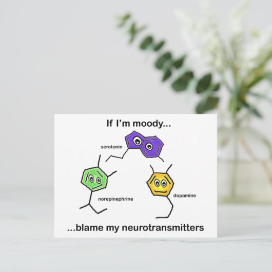 私もしは… ポストカード (スタンド正面)