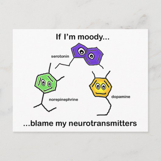 私もしは… ポストカード (正面)