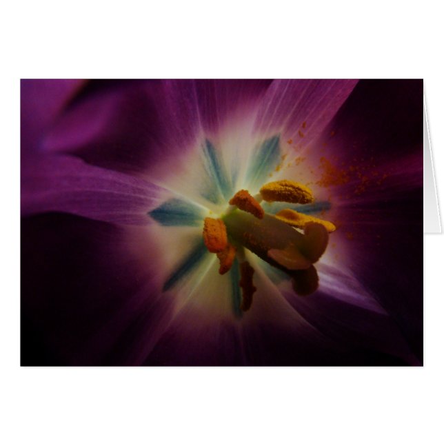 私より素晴らしい (正面横)