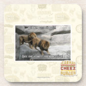 私をありますちょうど表現がかんで下さい! コースター (正面)