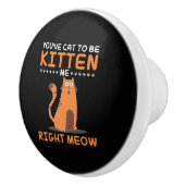 私をからかうために得られるしゃれの子ネコの猫好きペットギフト セラミックノブ (右)