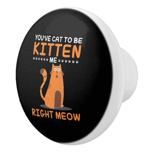 私をからかうために得られるしゃれの子ネコの猫好きペットギフト セラミックノブ (右)