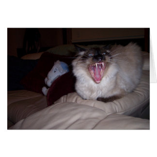 私をかんで下さい!