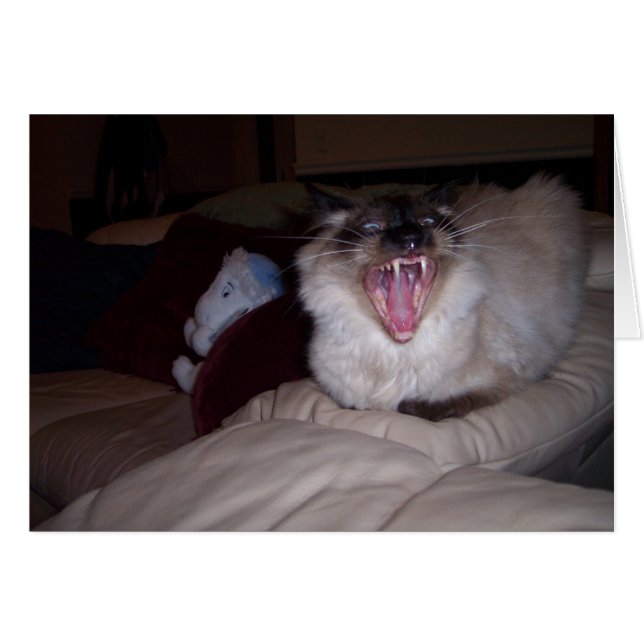 私をかんで下さい! (正面横)