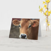 私をですジャージーかわいらしい牛考えません カード (黄色い花)