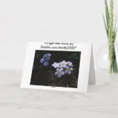 私をない~の悔やみや弔慰忘れて下さい カード (裏面)