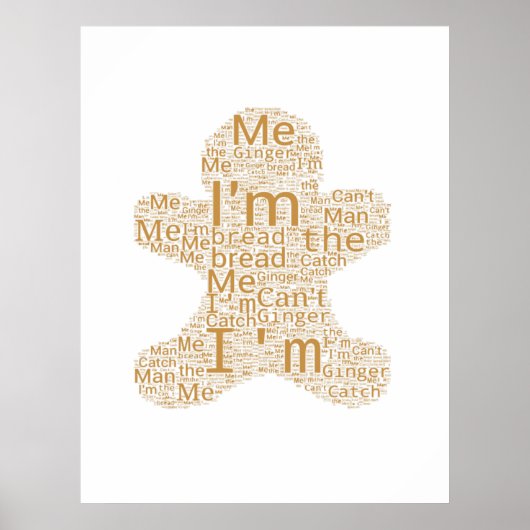 私をキャッチできない ポスター (正面)