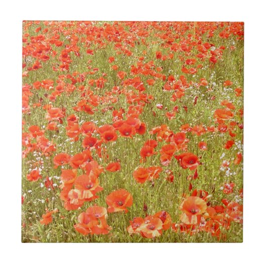 私をタイル覚えて下さい タイル (正面)