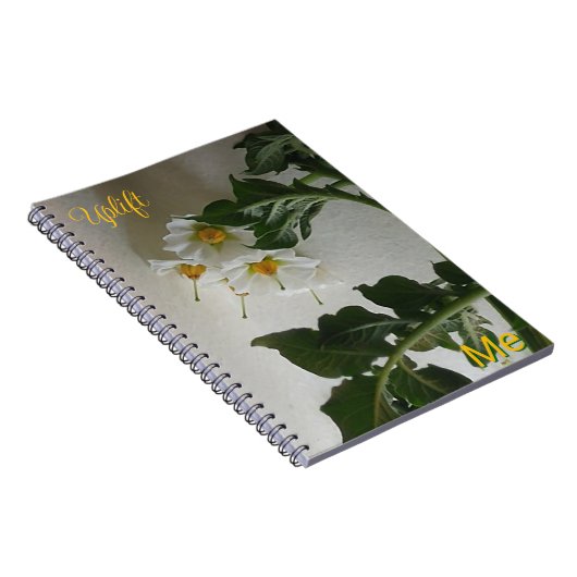 私を上げる ノートブック (右側)