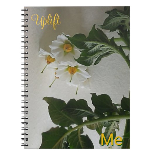 私を上げる ノートブック (正面)