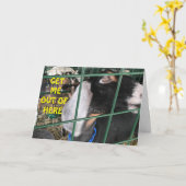 **私を出して**言いたい"ハッピーバースデー" カード (黄色い花)