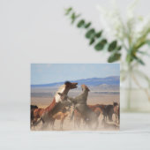 私を切り刻むか？ ポストカード (スタンド正面)