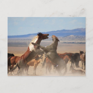 私を切り刻むか？ ポストカード