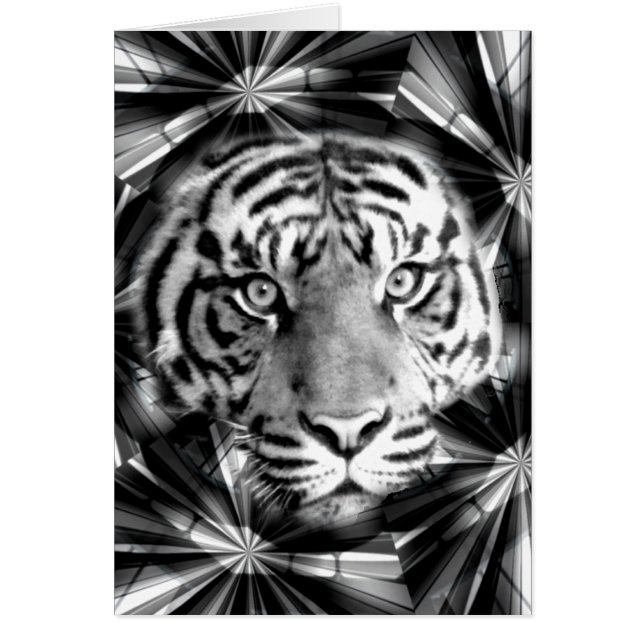 私を受け入れる (正面)