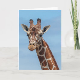 私を右に見ているキリン カード