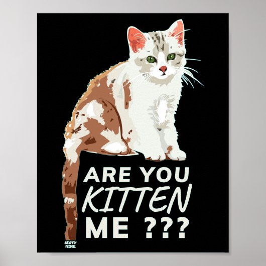 「私を子猫におもしろいした? ポスター (正面)