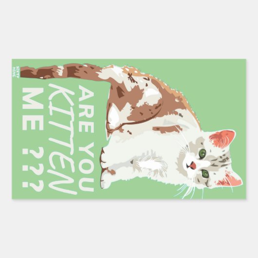 「私を子猫におもしろいした？ 長方形シール (正面)