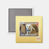 私を家に連れて帰るの? マグネット (正面/裏面)