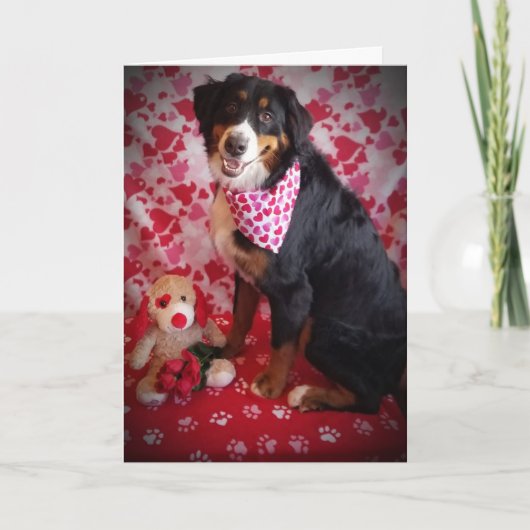 私を幸せにして！そして、あなたのバレンタインになると言って！ シーズンカード (正面)