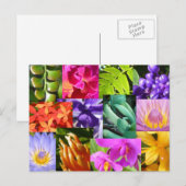 私を幸せ着色して下さい ポストカード (正面/裏面)