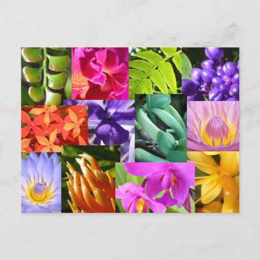 私を幸せ着色して下さい ポストカード (正面)