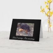 私を待っています心配しないで下さい カード (黄色い花)