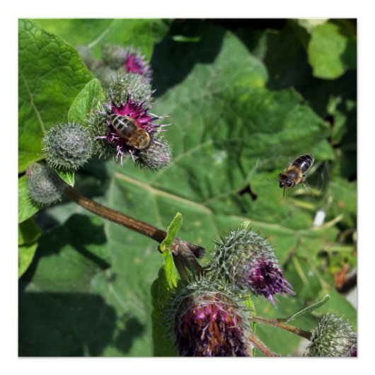 私を待つ ポスター (正面)