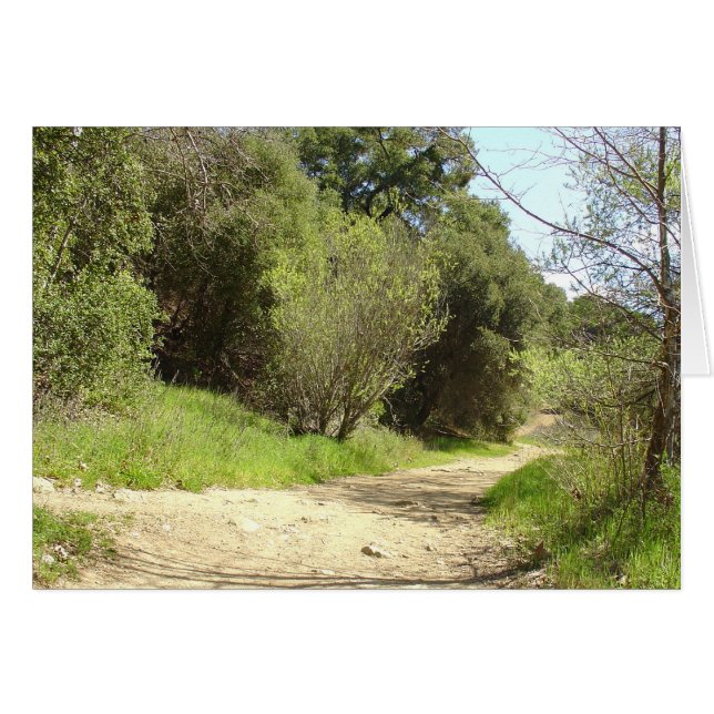 私を後を追って下さい (正面横)