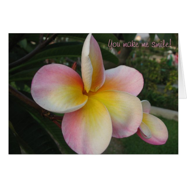 私を微笑させます! (正面横)