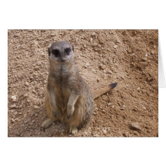 私を微笑させます