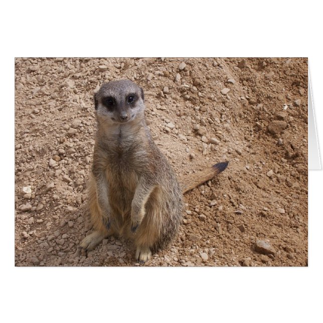 私を微笑させます (正面横)