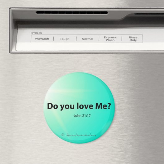 私を愛してる？イースターバイブル引用文 マグネット (インサイチュ (食洗機))