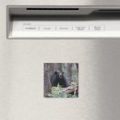 私を我慢する マグネット (インサイチュ (食洗機))