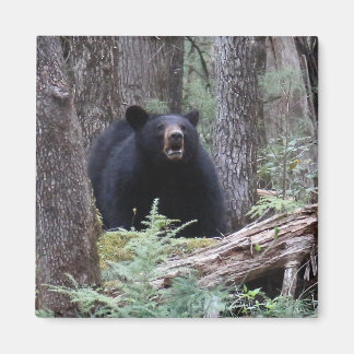 私を我慢する マグネット