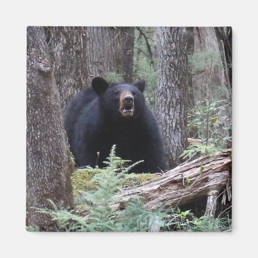 私を我慢する マグネット (正面)