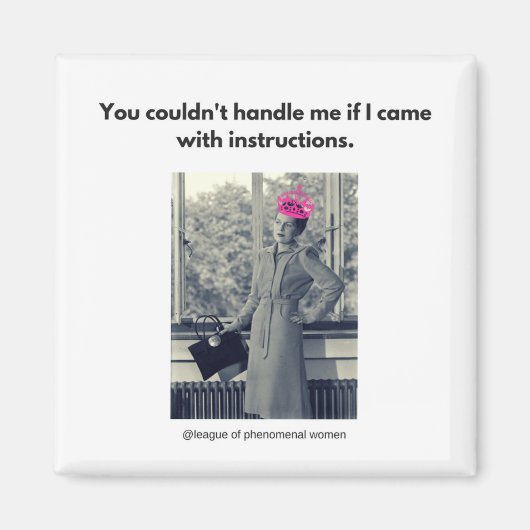 私を扱えなかった… マグネット (正面)