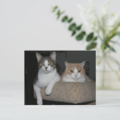 私を指導してくれてありがとう ポストカード (スタンド正面)