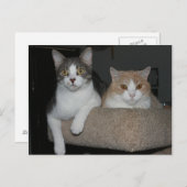 私を指導してくれてありがとう ポストカード (正面/裏面)