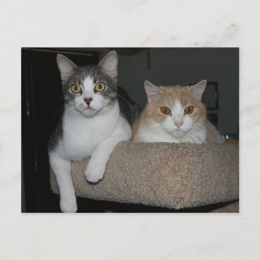 私を指導してくれてありがとう ポストカード (正面)