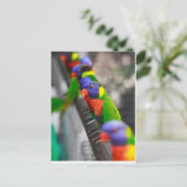 私を探してる？ ポストカード (スタンド正面)