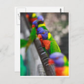 私を探してる？ ポストカード (正面/裏面)