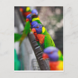 私を探してる？ ポストカード