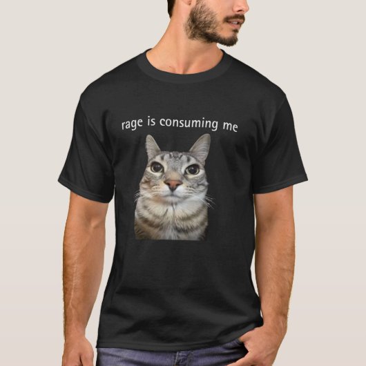 私を消費する怒り バカみたいな猫のスターリング Meme Tシャツ (正面)