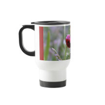 私を煩わせないで下さい!