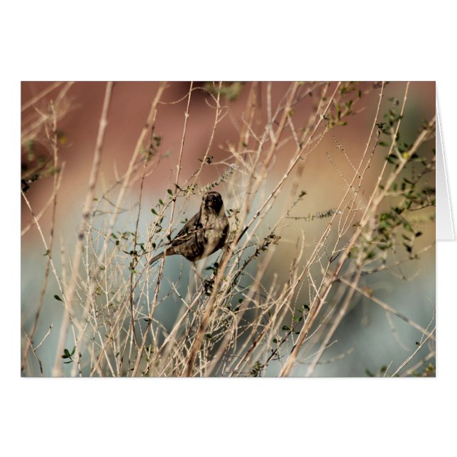 私を見ているか。 (正面横)