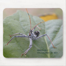 私を見ている真剣にか。