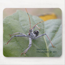 私を見ている真剣にか。 マウスパッド