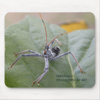 私を見ている真剣にか。 マウスパッド