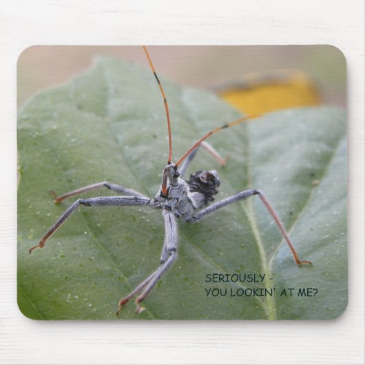 私を見ている真剣にか。 マウスパッド (正面)